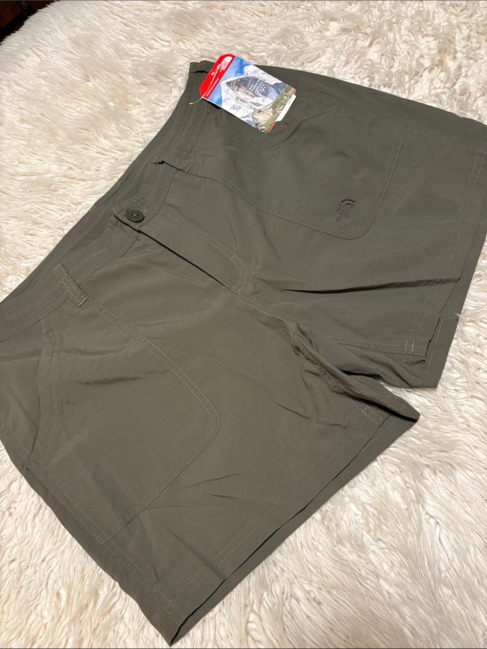 Olive 🫒 North Face Shorts